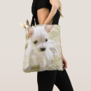 Recherche de maltais sacs Animal