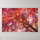 Zoek naar mantel posters Natuur