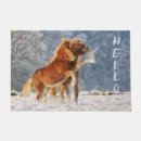 Zoek naar paarden geschenken Winter