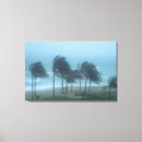 Zoek naar wind canvas prints Regen