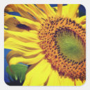 Recherche de faune et flore autocollants Nature