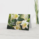 Zoek naar lilium kaarten Leugenachtig