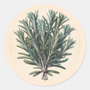 Zoek naar apothekers stickers Heks