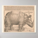 Recherche de rhinocéros art Animal