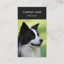 Recherche de border collie cartes visite Noir