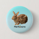 Recherche de herbivore badges Lapin