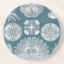 Zoek naar kwallen onderzetters Kust