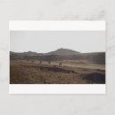 Recherche de caravane cartes postales Désert