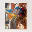 Recherche de gnome puzzles Citrouille