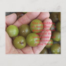 Recherche de fabrication cartes postales Vin