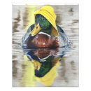 Recherche de ducky posters Mignon