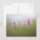 Recherche de orchidée sauvage cartes postales Floral