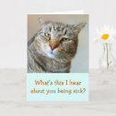 Recherche de fâché vœux cartes Chat