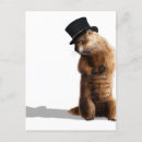 Recherche de sifflet cartes postales Arbre