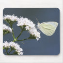 Recherche de lit tapis souris Blanc