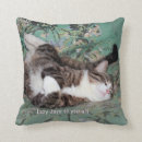 Recherche de chat de sommeil coussins Minou