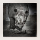 Recherche de rhinoceros puzzles Nature