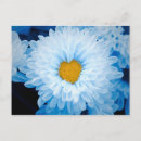Recherche de teintes cartes postales Floral