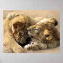 Recherche de amis de jungle posters Pour elle
