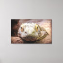 Zoek naar komodo dragon kunst Monitor