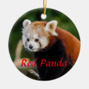 Recherche de firefox Animal