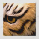 Recherche de tigres invitations Safari