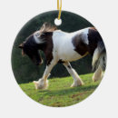 Zoek naar gypsy ornamenten Pony
