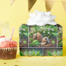 Recherche de muguet papier cadeau Anniversaire