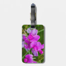 Recherche de orchidées bagages étiquettes Violet