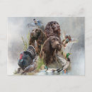 Recherche de chien sauvage cartes postales Chasse