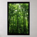 Recherche de ivrogne posters Arbres
