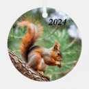 Recherche de écureuil rouge Animal