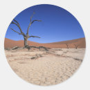 Recherche de arbre mort autocollants Jour