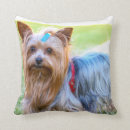 Recherche de yorkshire terrier décoration coussins Chiot