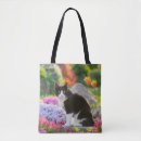 Recherche de short sacs Chat