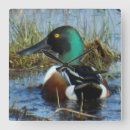 Recherche de drake horloges Pour tous