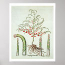 Recherche de du 17ème siècle art École