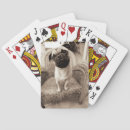 Recherche de carlin jeux de cartes Chiens