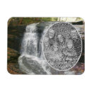 Recherche de huile magnets Nature