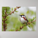 Recherche de pousser posters Nature
