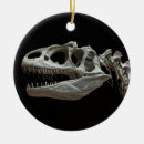 Recherche de squelette ornements Noël