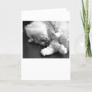 Recherche de chat noir mignon vœux cartes Noir et blanc