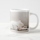 Recherche de labrador jaune tasses Chiot