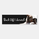 Zoek naar witte tijger bumperstickers Wild