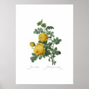 Recherche de 19ème siècle posters Illustration
