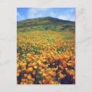 Recherche de la la californie cartes postales Nuage