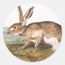 Recherche de illustration de lapin autocollants Vintage