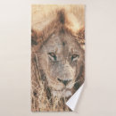 Recherche de lion king Sauvage