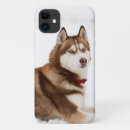 Recherche de yeux de chien iphone coques Husky