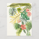 Recherche de tropiques cartes postales Hibiscus